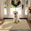 Front Door Mat Outside Entrance 32in x 40in - Absorbent Low Profile