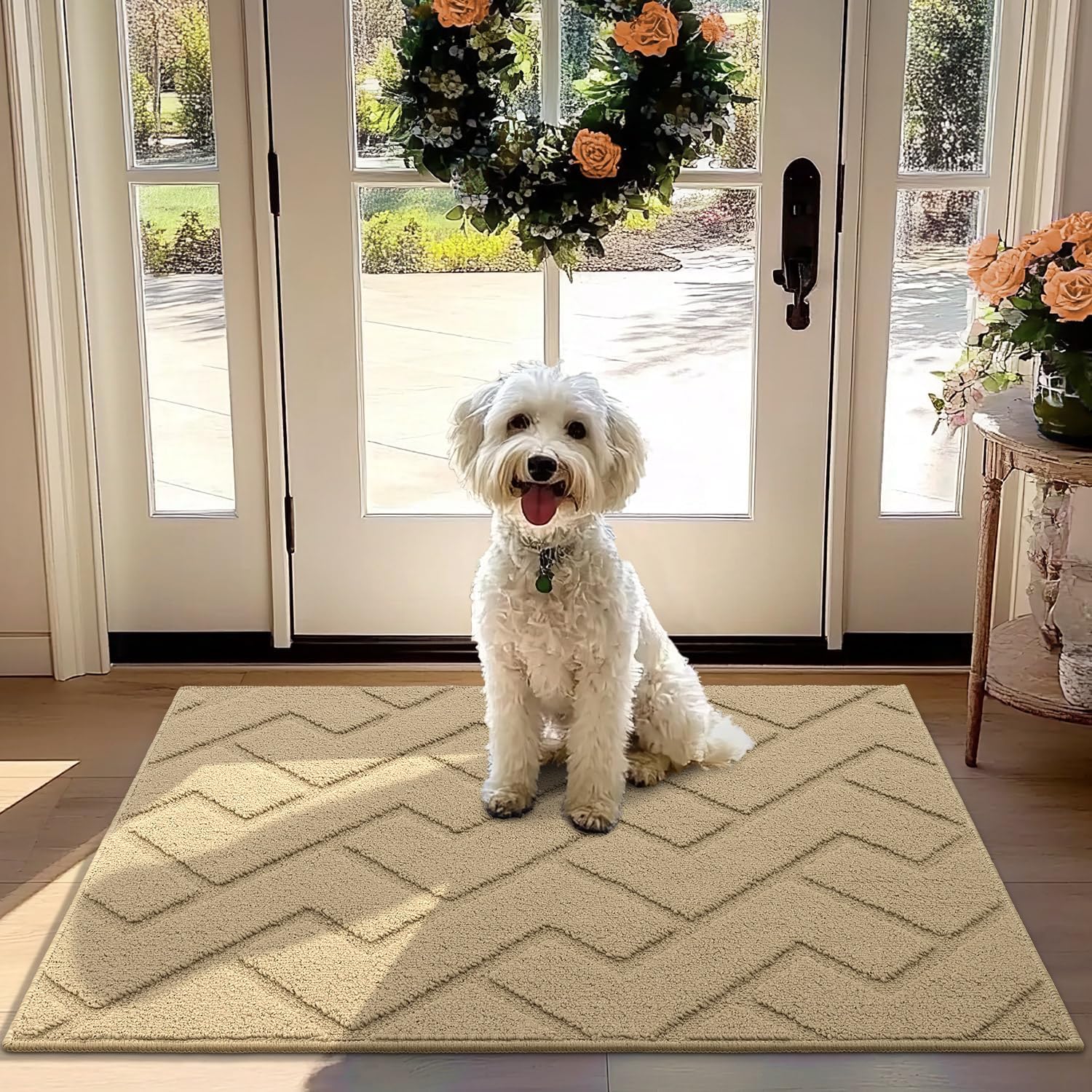 Absorbent Muddy Dirt Resist Welcome Door Mat for Entryway