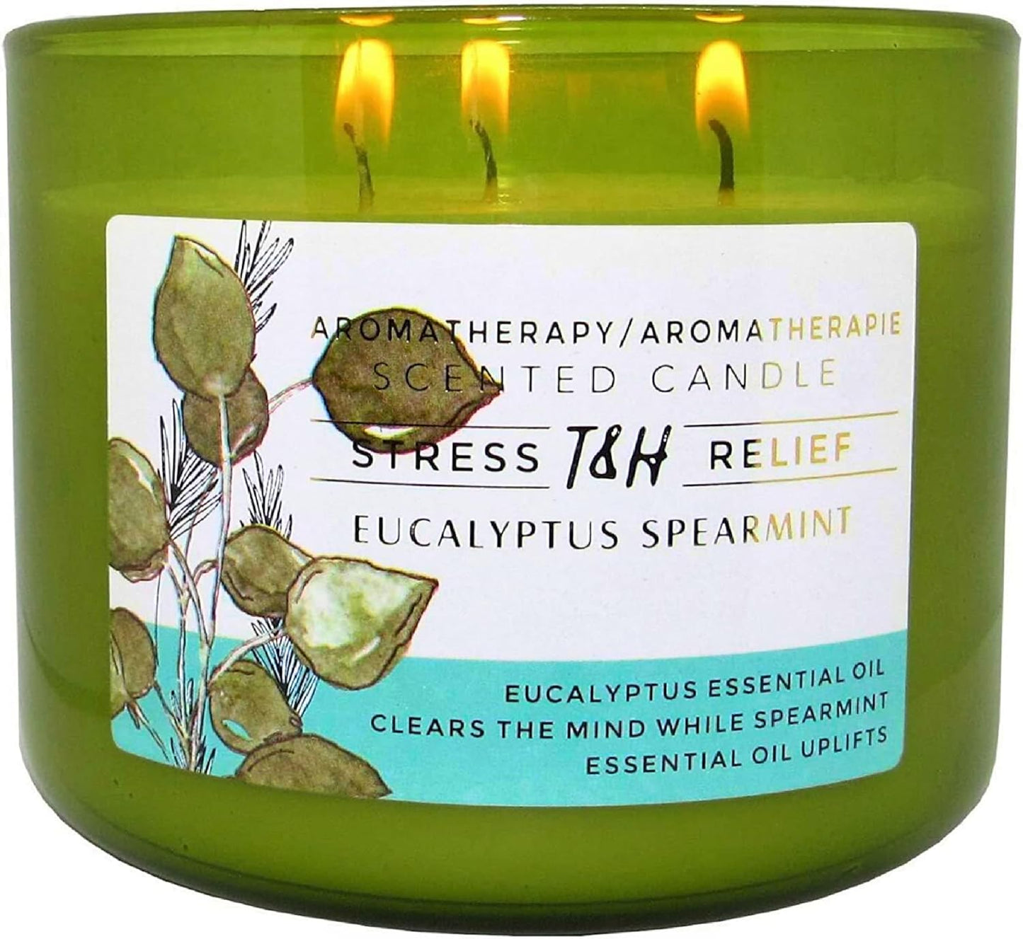 Eucalyptus Spearmint Aromatherapy Candle 3-Wick for Relaxation