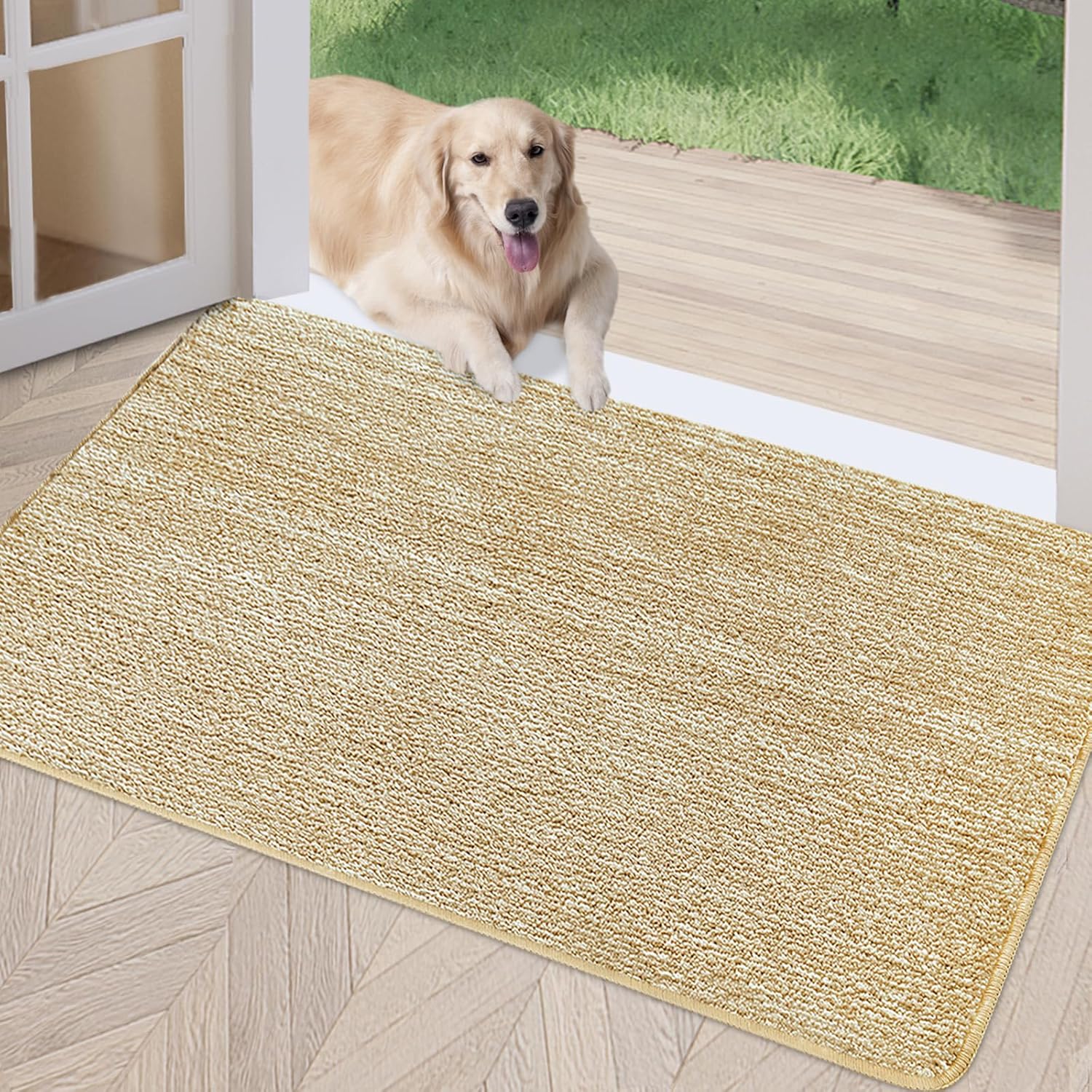 REFETONE Indoor Doormat 32x48 Absorbent Non-Slip Rug for Entryway