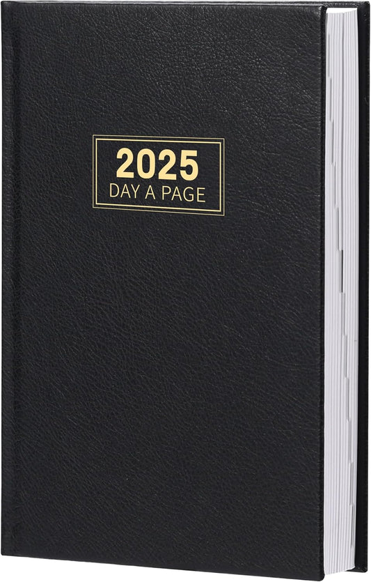 Artfan 2025 Daily Planner - Plan Each Day! ~