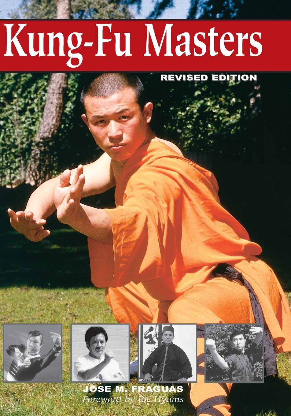 Kung Fu Masters: A Deep Dive into Martial Arts Mastery