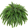 Single Silky Artificial Boston Fern Bush 49in - Lush Faux Fern