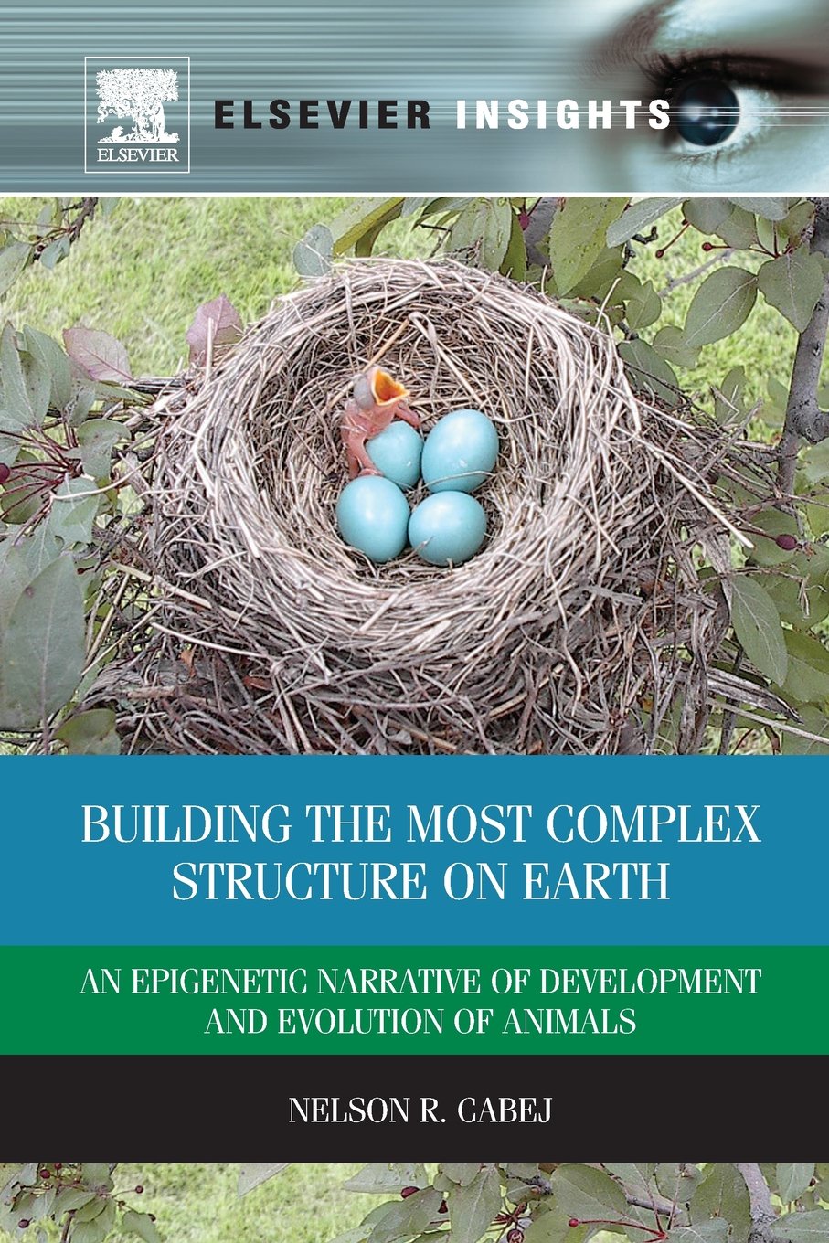 Building the Most Complex Structure on Earth: An Epigenetic Narrative