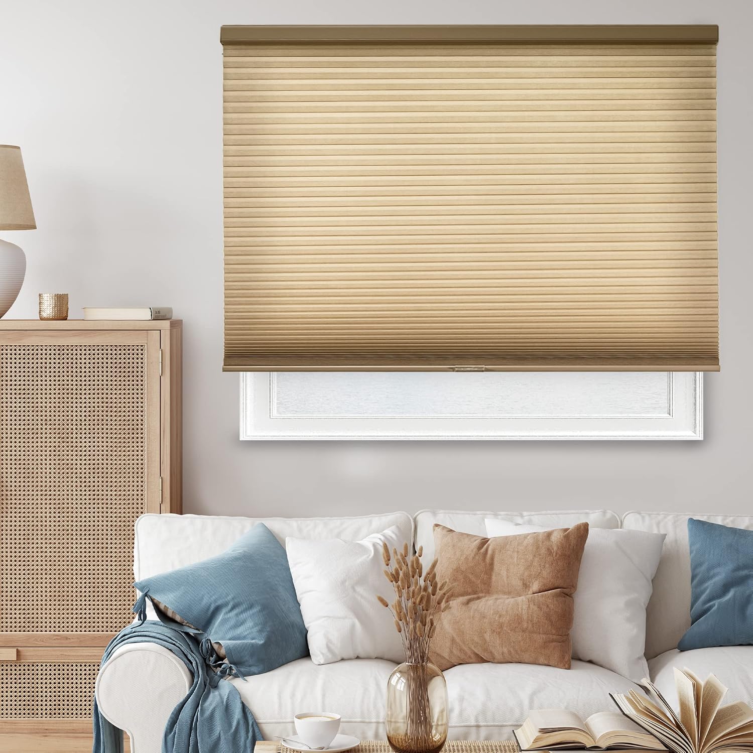 Chicology Cellular Shades for Home - Cordless Window Blinds