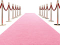 HOMBYS 450 GSM Extra Thick 3x10 ft Pink Carpet Runner - Durable Event