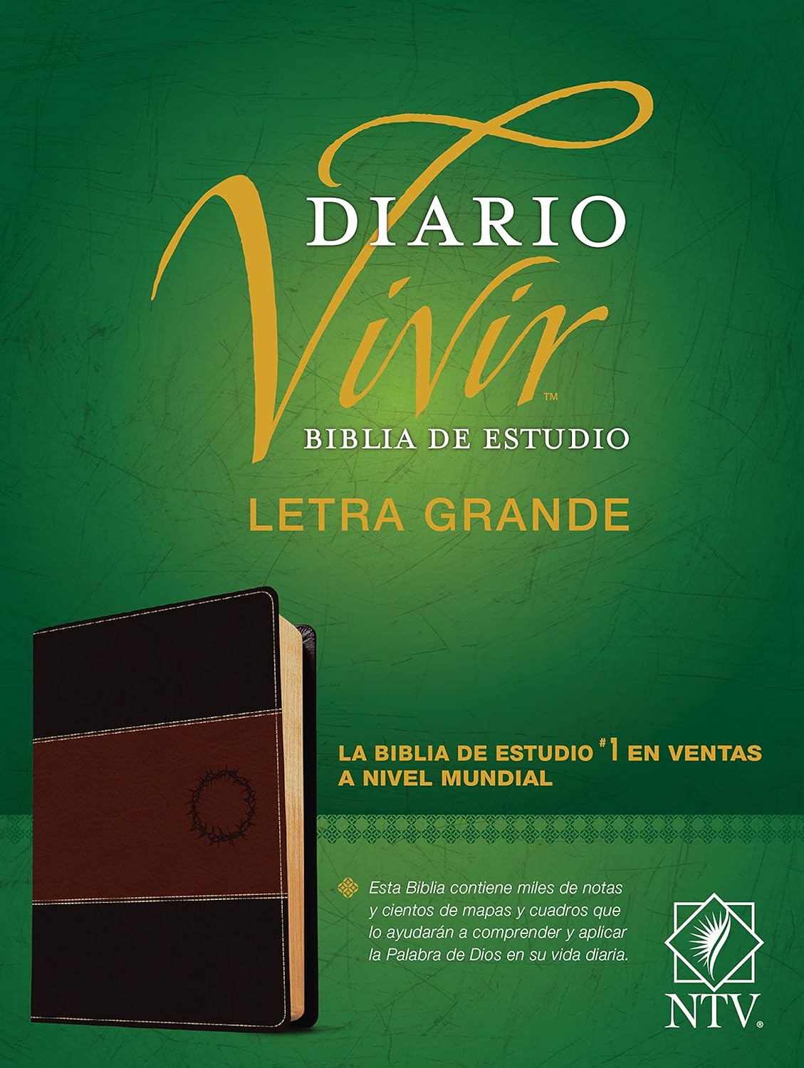 Biblia de estudio del diario vivir NTV con letra grande y roja