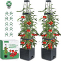Raised Garden Bed Tomato Planter with Trellis - Self Watering 2-Pack