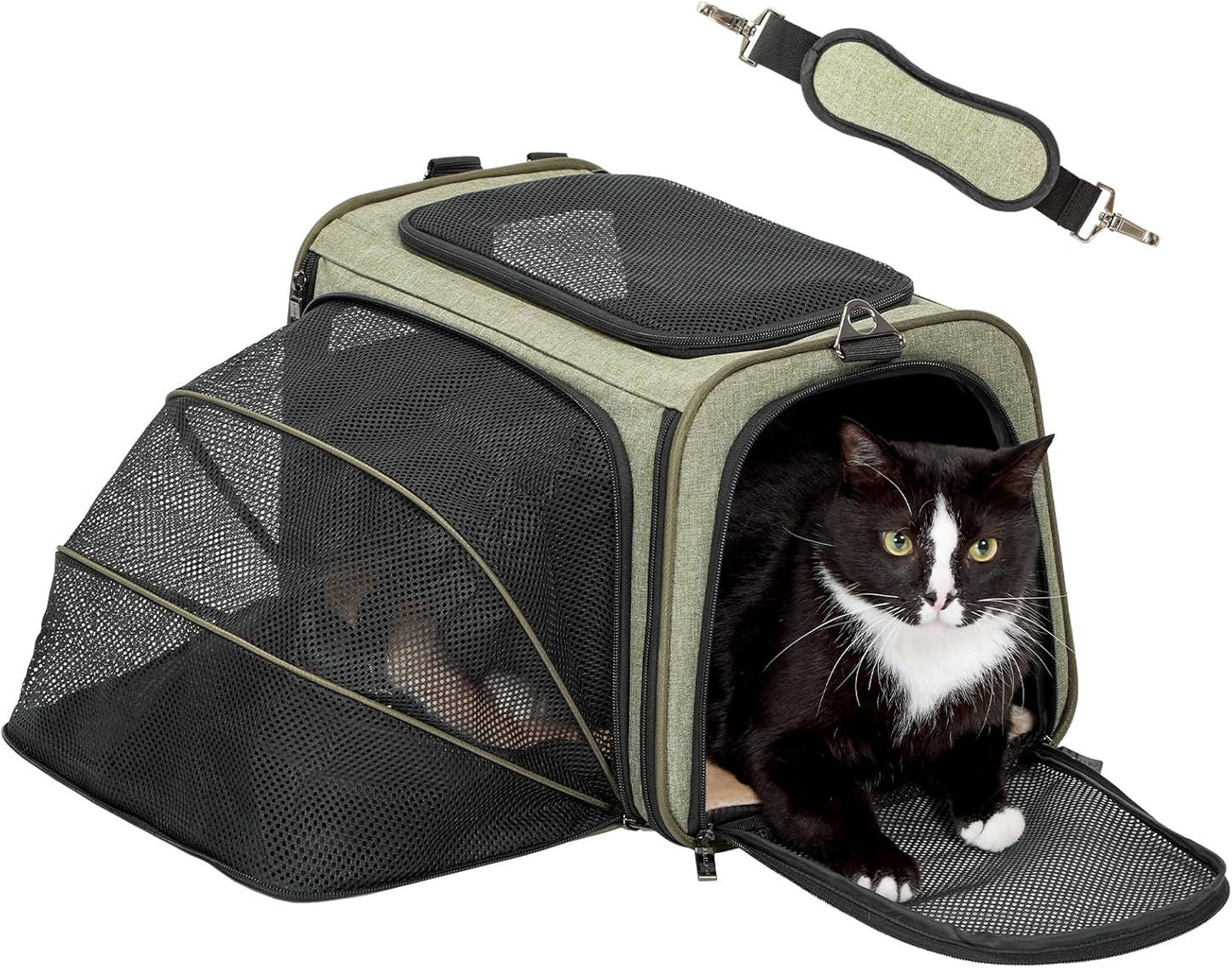 Expandable Cat and Dog Carrier for Travel with Safety Features