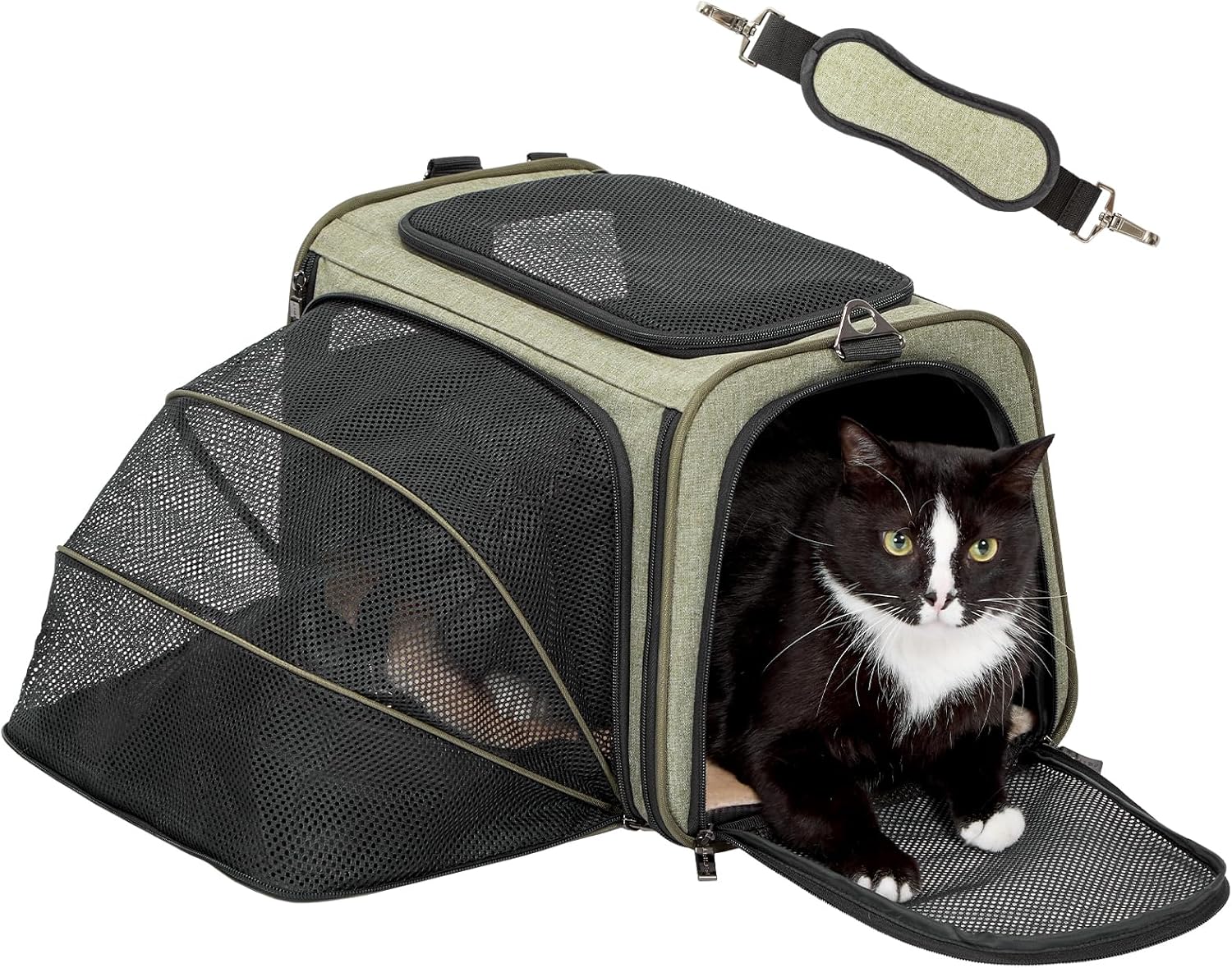 Expandable Cat and Dog Carrier for Travel with Safety Features