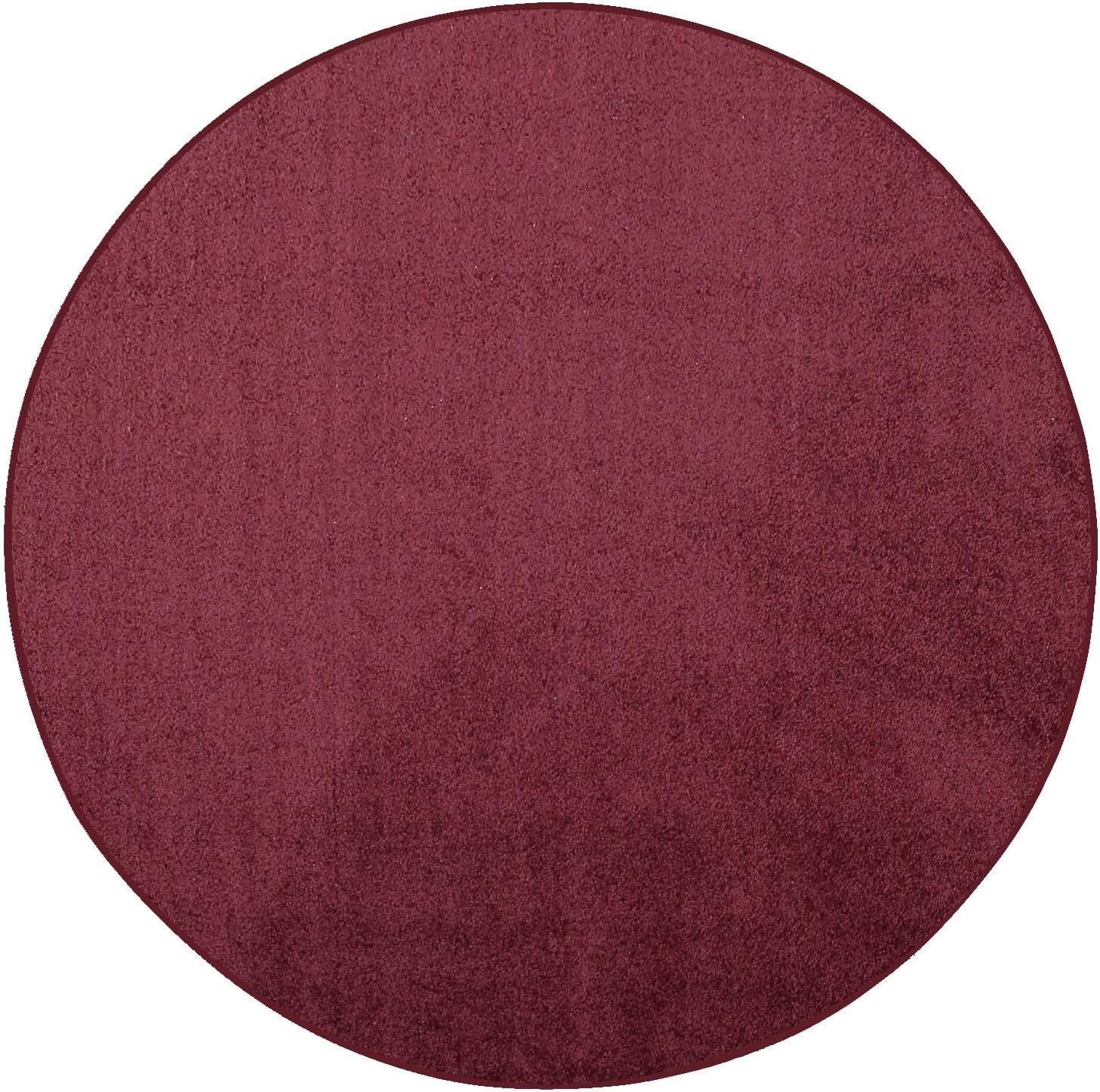 Cranberry Area Rug - Pet Friendly, Soft & Stylish for Home