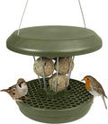 No Mess Bird Feeder Lucerne Smart Birds for Fat Balls - Rodent Proof