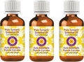 Pure Turmeric Essential Oil (Curcuma Longa) Steam Distilled - Pack
