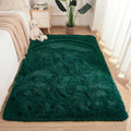 Merelax Soft Modern Indoor Shaggy Area Rug for Home