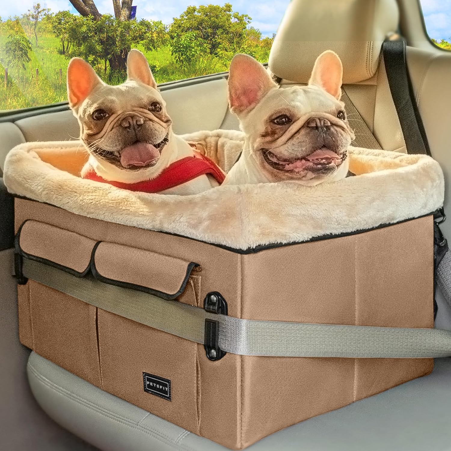 Petsfit Dog Booster Car Seat for Medium Dog or 2 Small Dogs