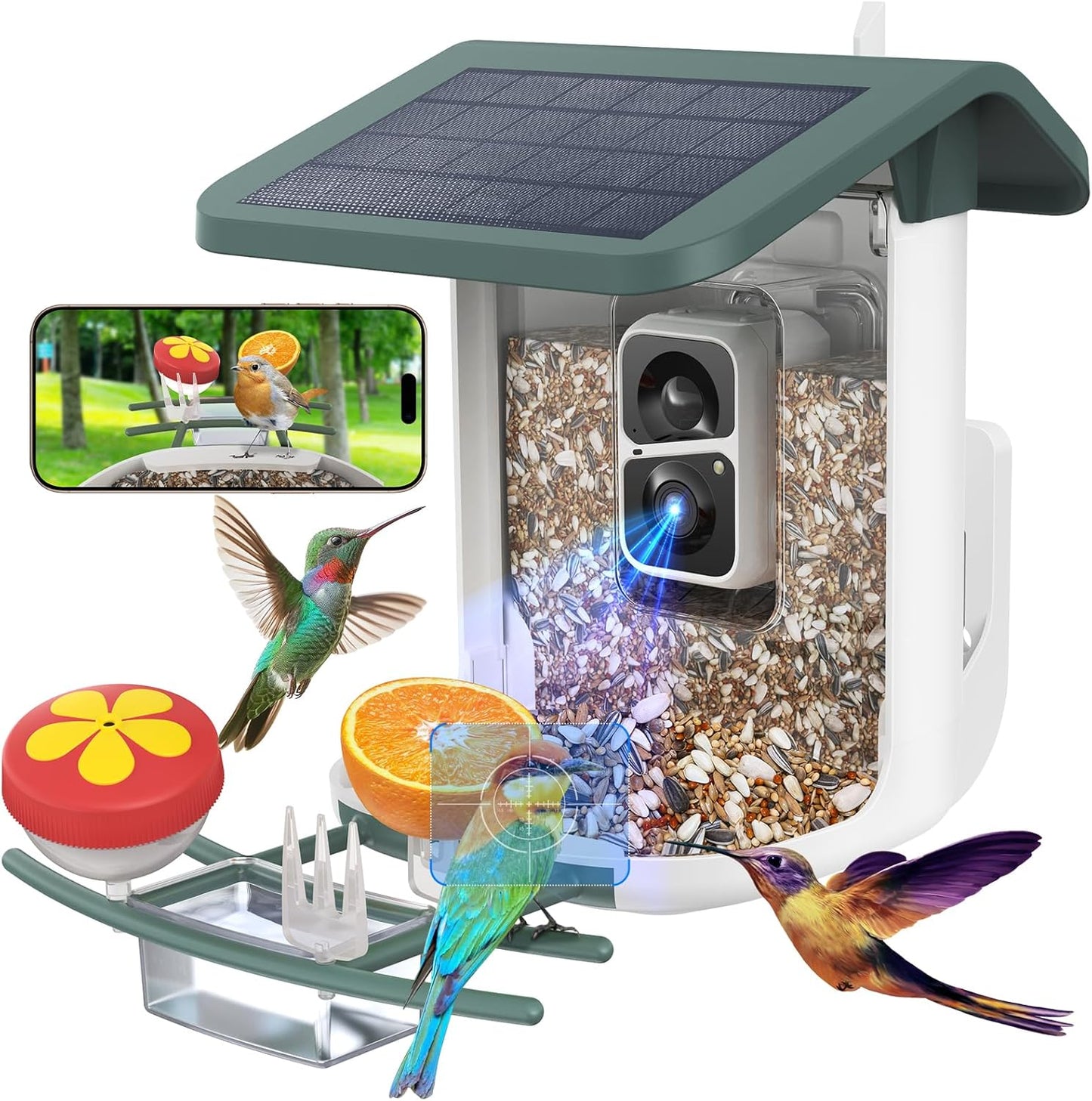 Smart Bird Feeder: AI Identify, Solar Powered, Live View