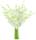 White Dendrobium Orchid Bouquet of 20 - Long-Lasting Fresh Cut