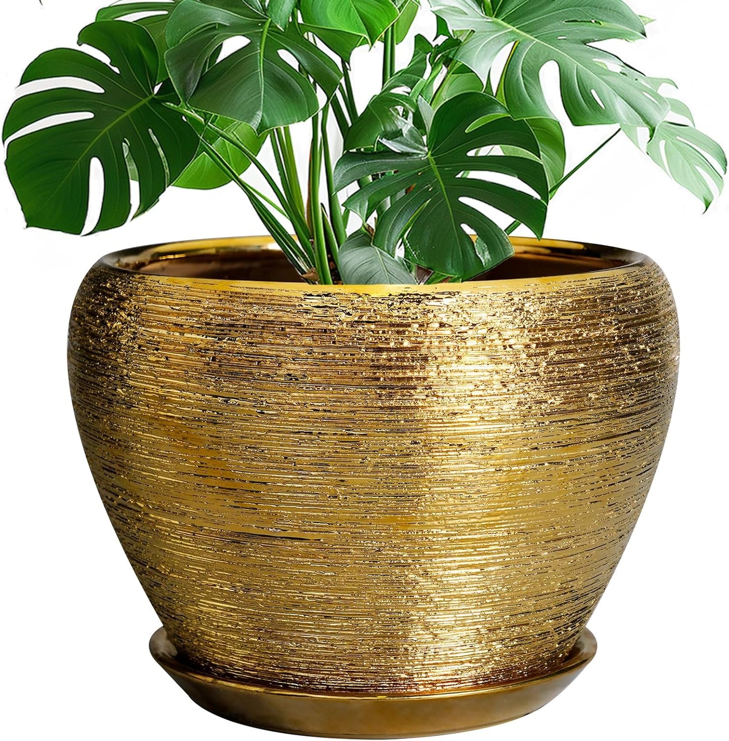 Ceramic Planter 10 Inch with Drainage Hole for Home Decor