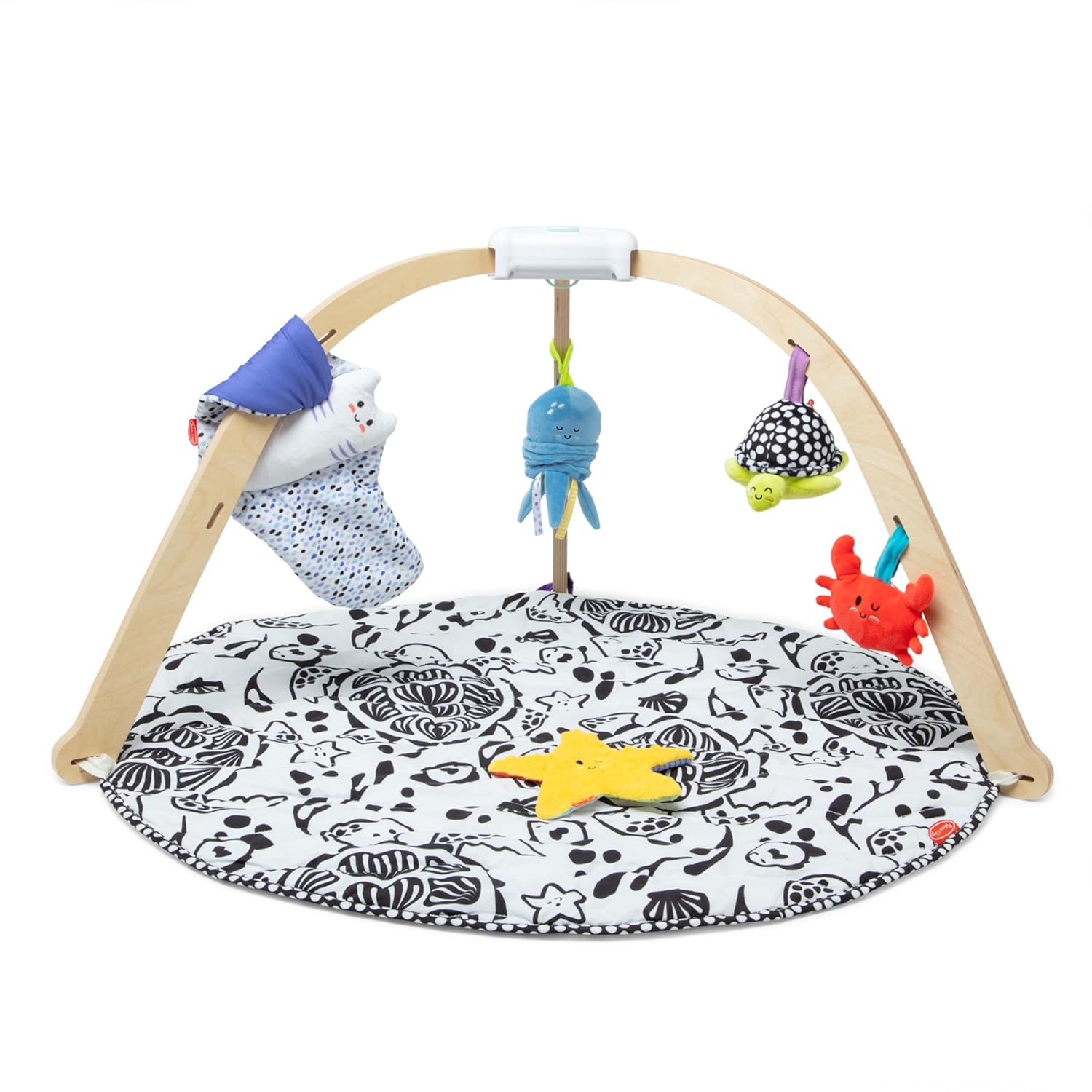 Melissa & Doug Easy-Fold Ocean Play Gym - Stimulates Infant Development