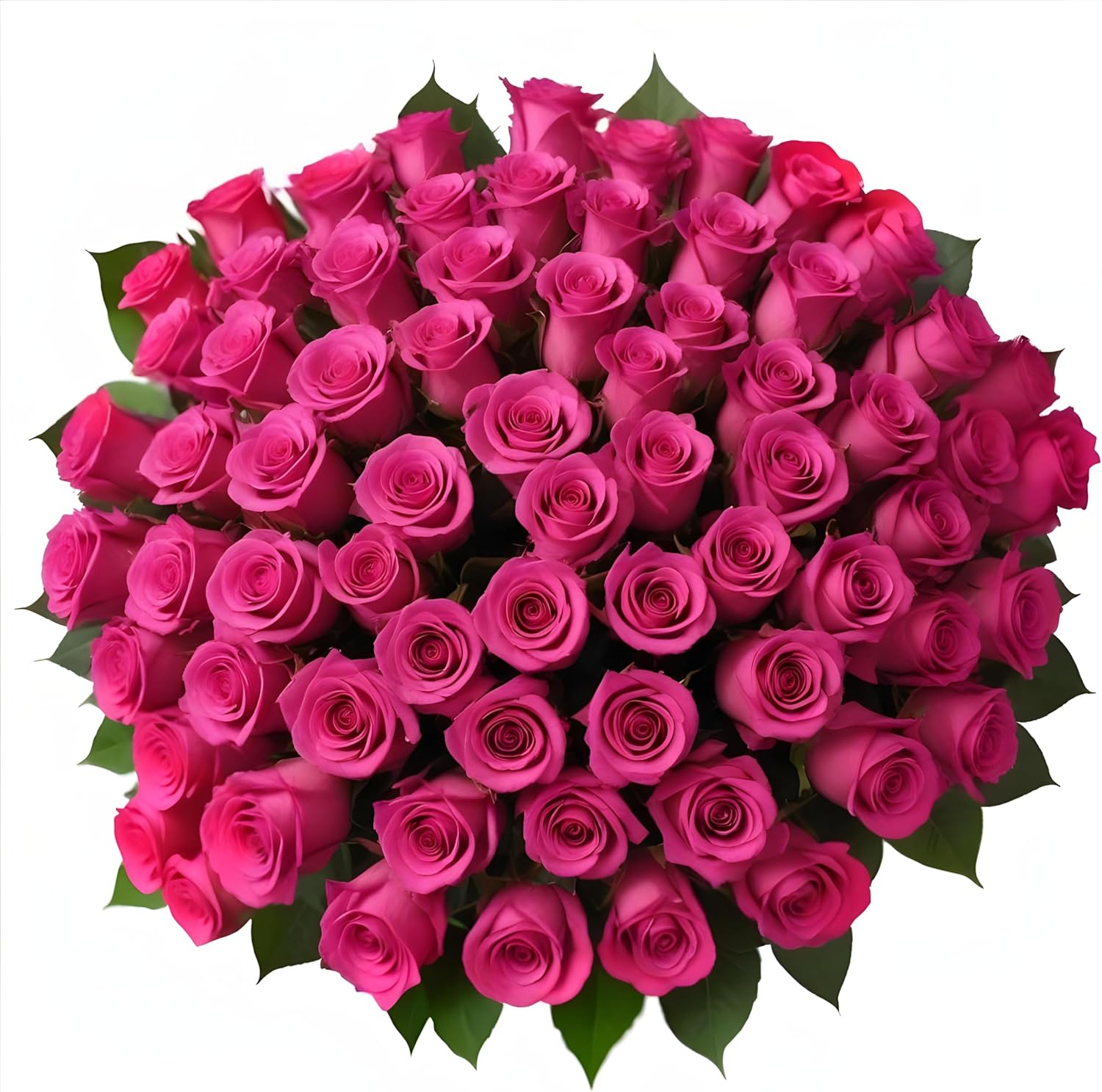 100 Hot Pink Roses Bulk Roses for Delivery and Special Occasions