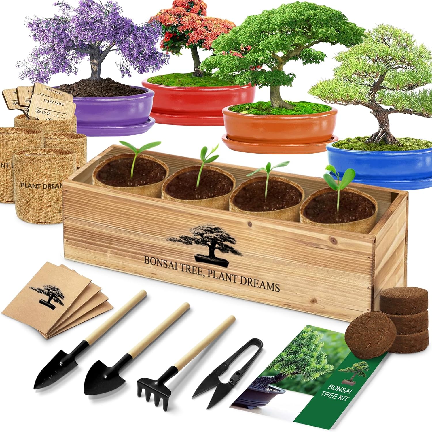 Bonsai Tree Kit for Beginners - Complete Indoor Gardening Set