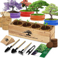 Bonsai Tree Kit Bonsai Starter Kit with 4 Seeds - DIY Indoor Bonsai
