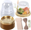 Whaline Disposable Charcuterie Cup Set Clear Cupcake Container