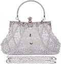 Selighting 1920s Vintage Beaded Clutch Evening Bag - Elegant Retro