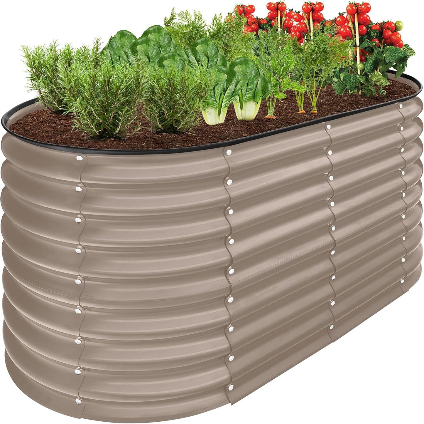 Outdoor Metal Raised Garden Bed for Vegetables and Herbs