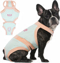 PUMYPOREITY Dog Diapers Escape Proof Reusable Period Panties - Blue L