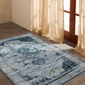 Area Rugs 5x7 Rug for Living Room - Washable Low Pile Vintage