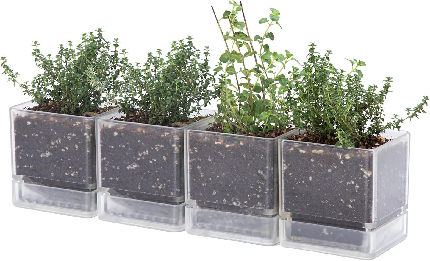 4 Inch Herb Planter Pot Set of 4 with Drainage Holes and Saucer