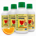 Liquid Calcium Supplement for Kids 16 fl oz (4 Pack) - Orange Flavor