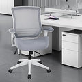 BOLISS 400lbs Mesh Computer Ergonomic Chair - Breathable Support
