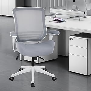 BOLISS Ergonomic Mesh Computer Chair with Lumbar Support