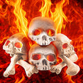Fire Pit Skulls Bones 8 Pc Ceramic Fiber Set - Spooky Outdoor Accent