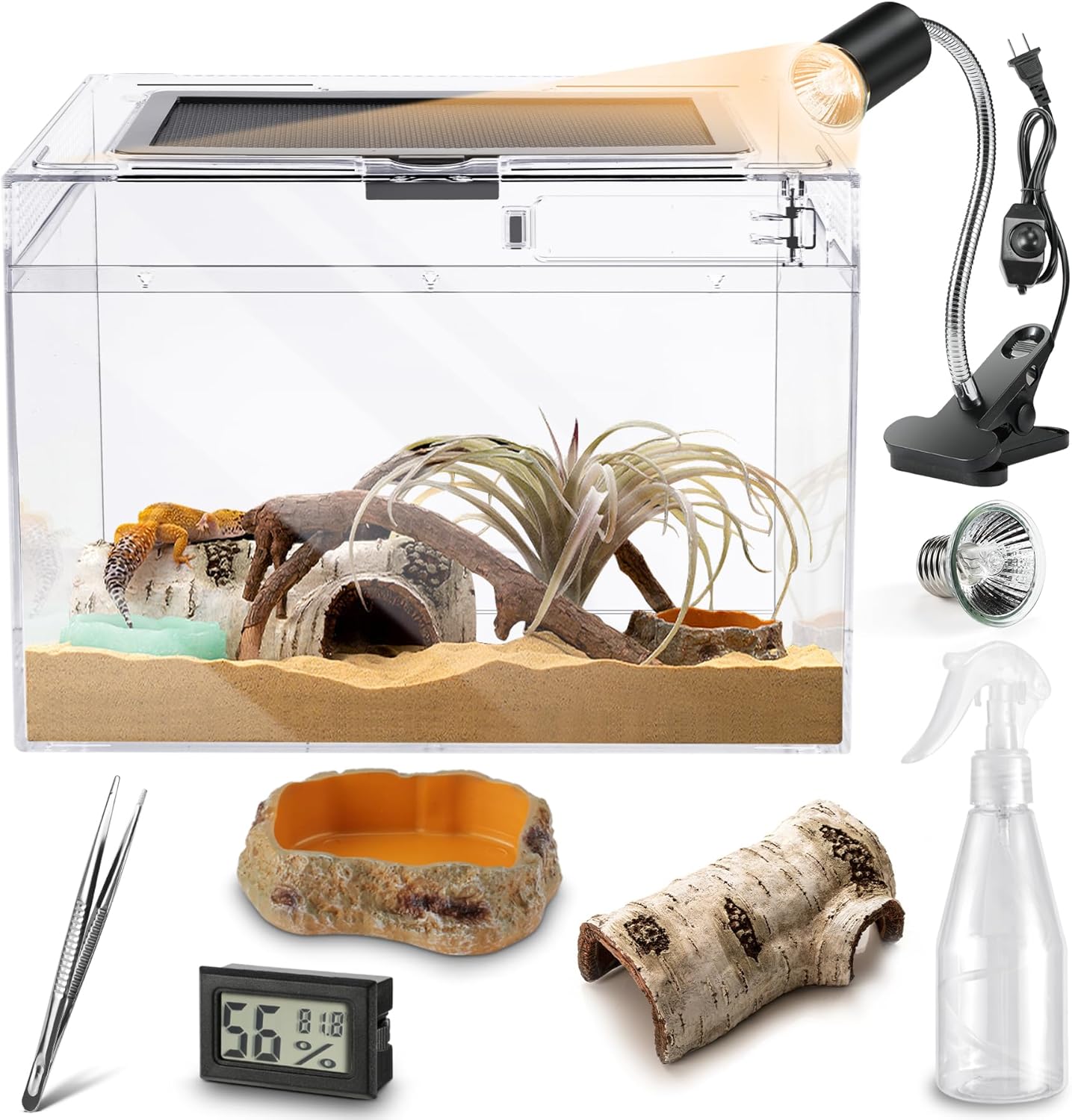 Reptile PC Terrarium Starter Kit for Amphibians and Insects