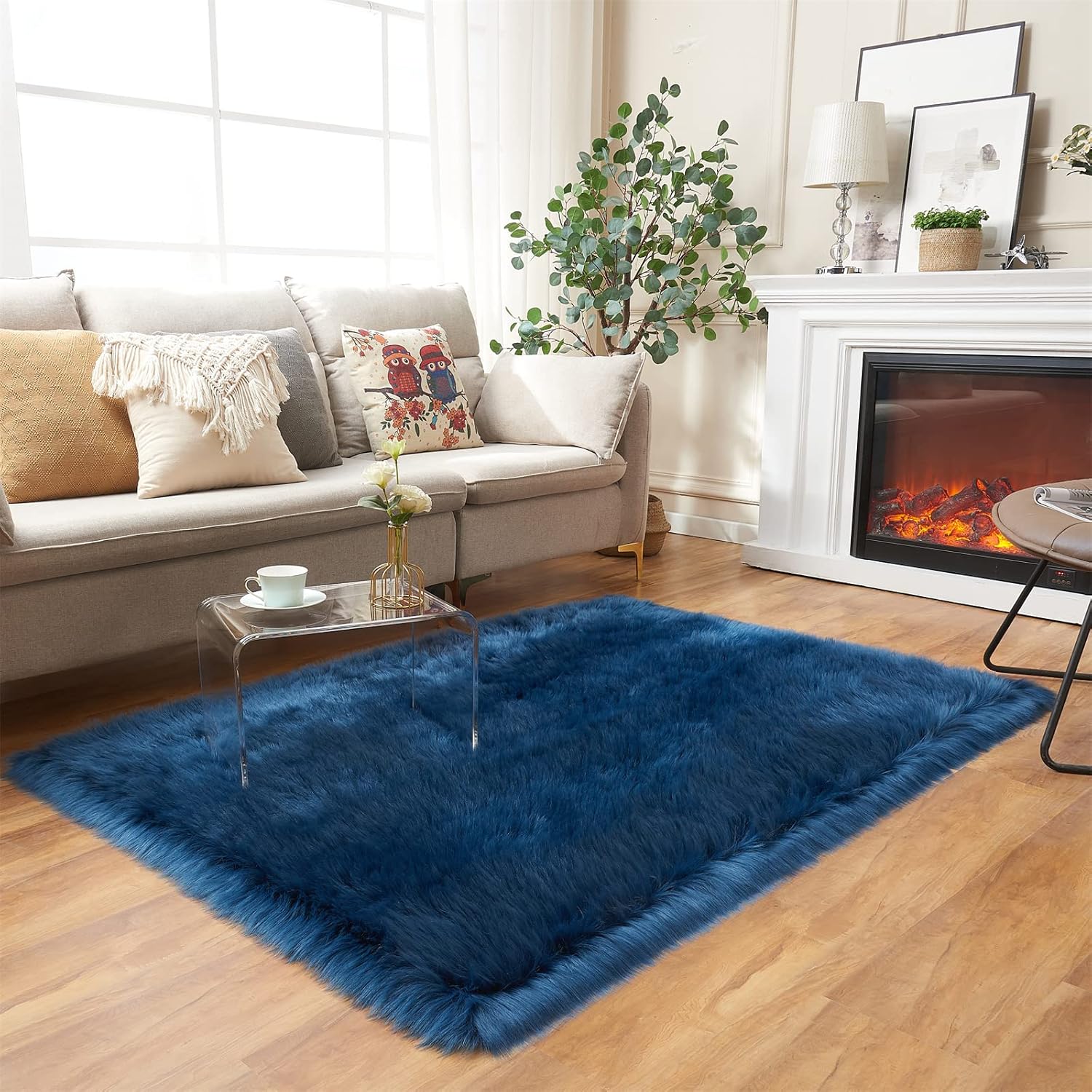 Ultra Soft Fluffy Shaggy Area Rug for Bedroom and Living Room