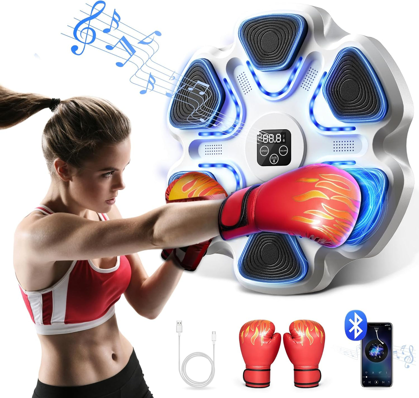 Smart Boxing Wall Mount ~ SPIEEK