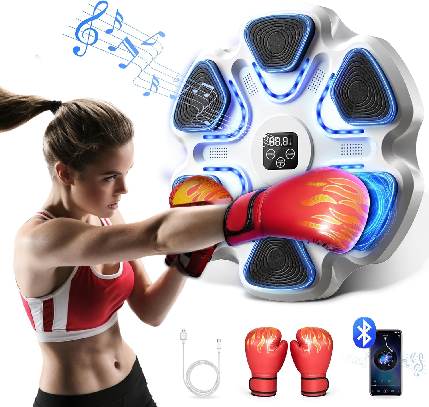 Smart Boxing Wall Mount ~ SPIEEK