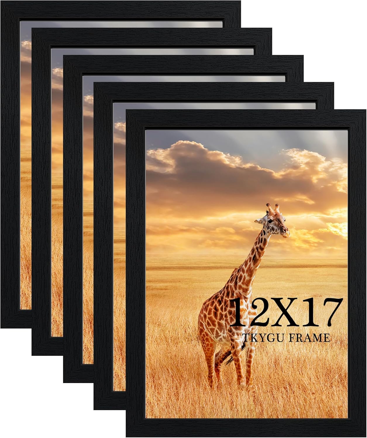 12x17 Picture Frame Set of 5 - Stylish Wooden Wall Decor