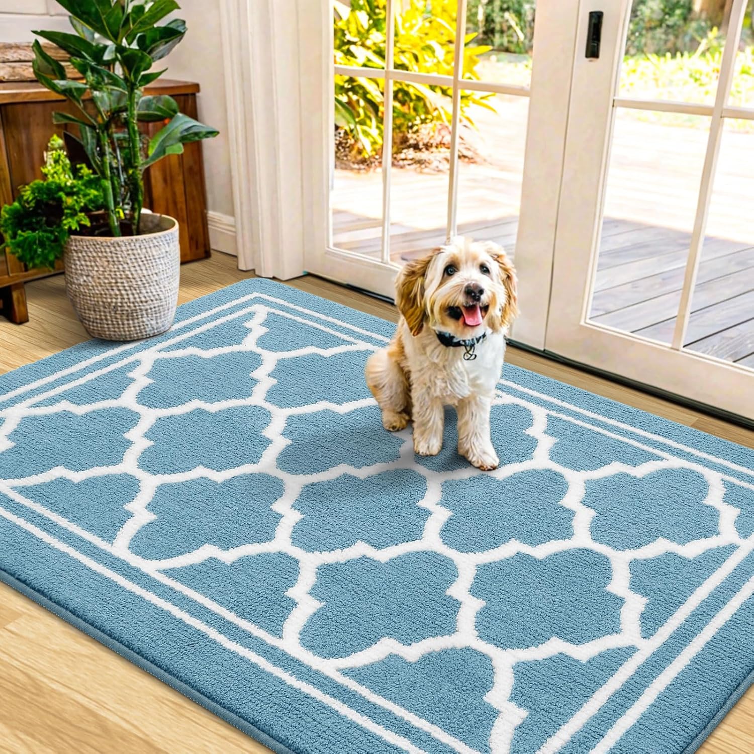 Buganda Indoor Door Mat - Dirt-Resistant and Absorbent Doormat