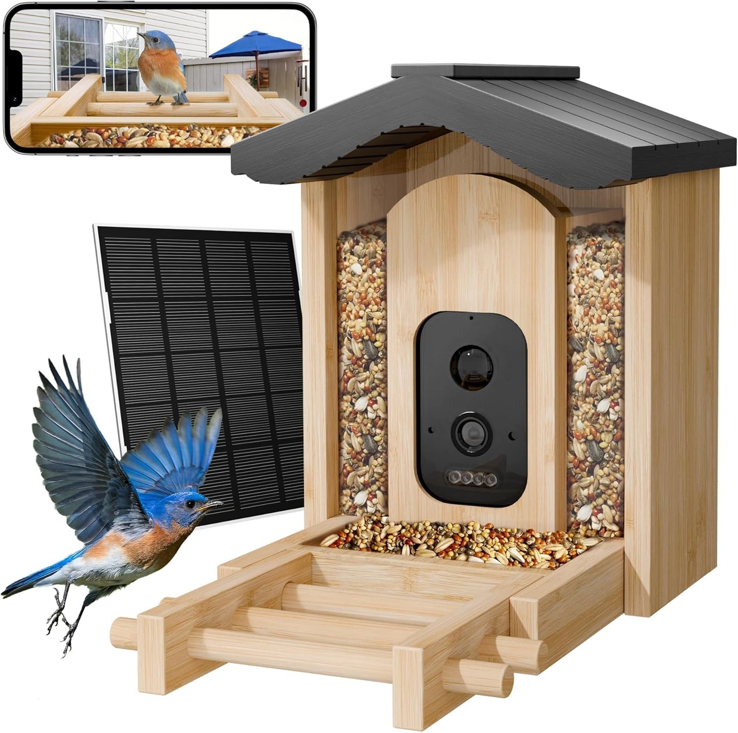 Bamboo Bird Feeder: AI Identify 11K+ Birds, Real-time Notifications