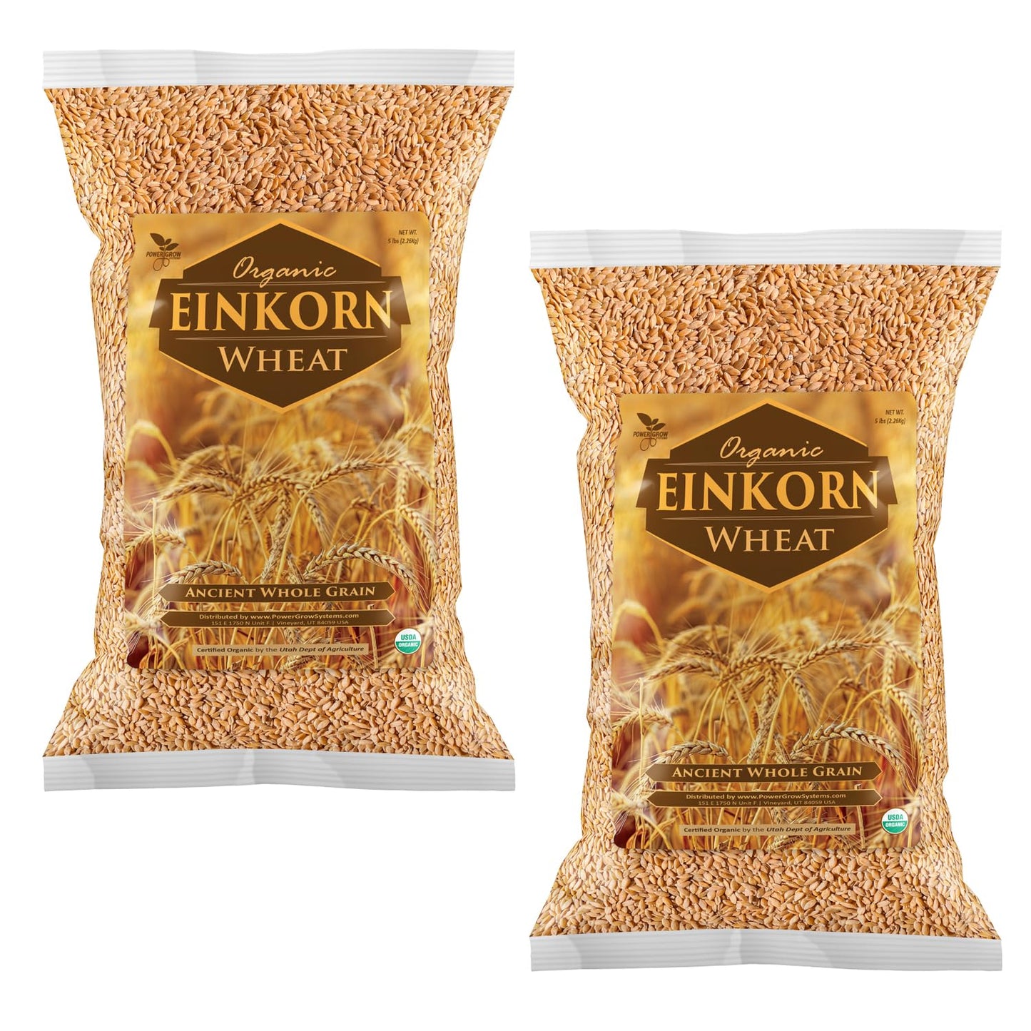 Einkorn Wheat - 100% Certified Organic Whole Grain for Baking
