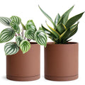 6 Inch Rust Terracotta Plant Pot Set of 2 - Indoor Planter