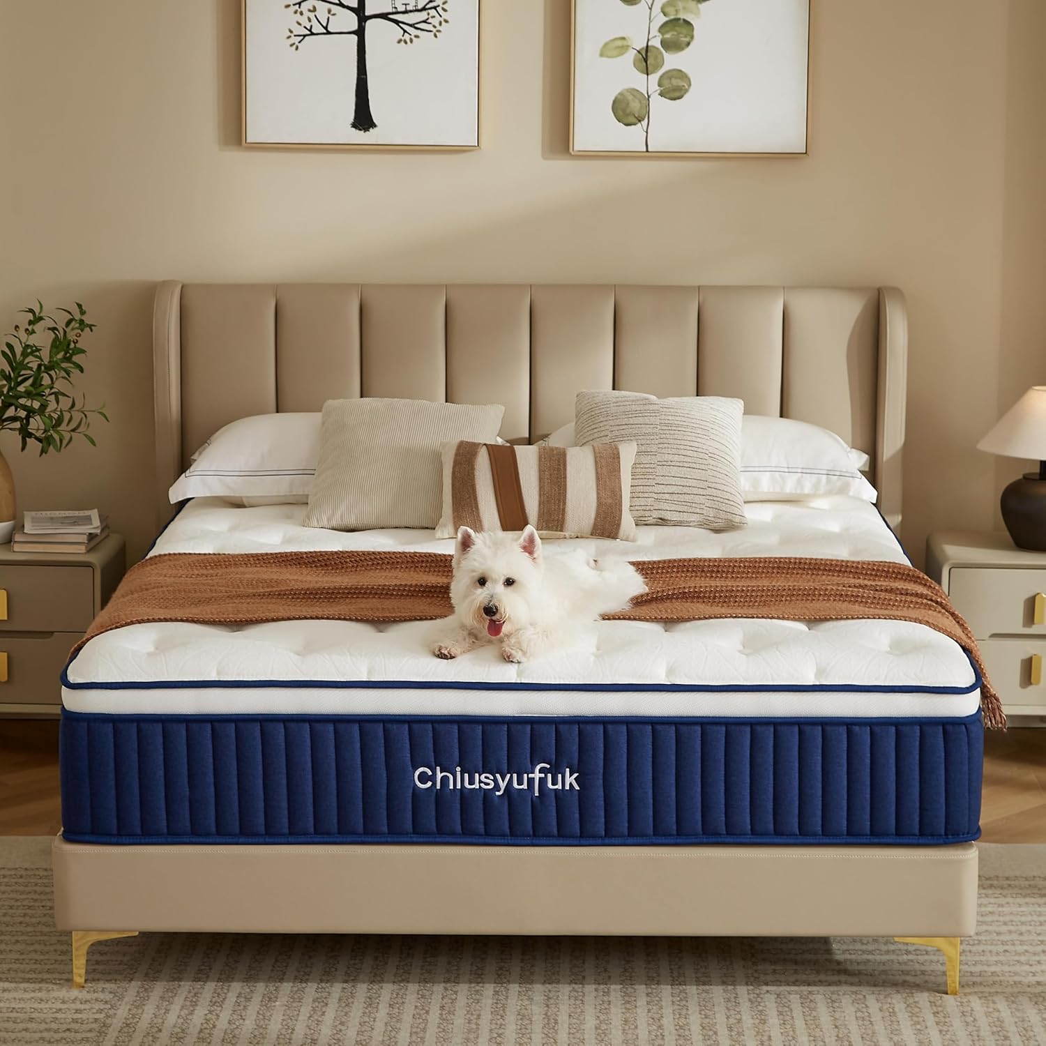 Twin Mattress with Gel Memory Foam and Pocket Coils for Comfort