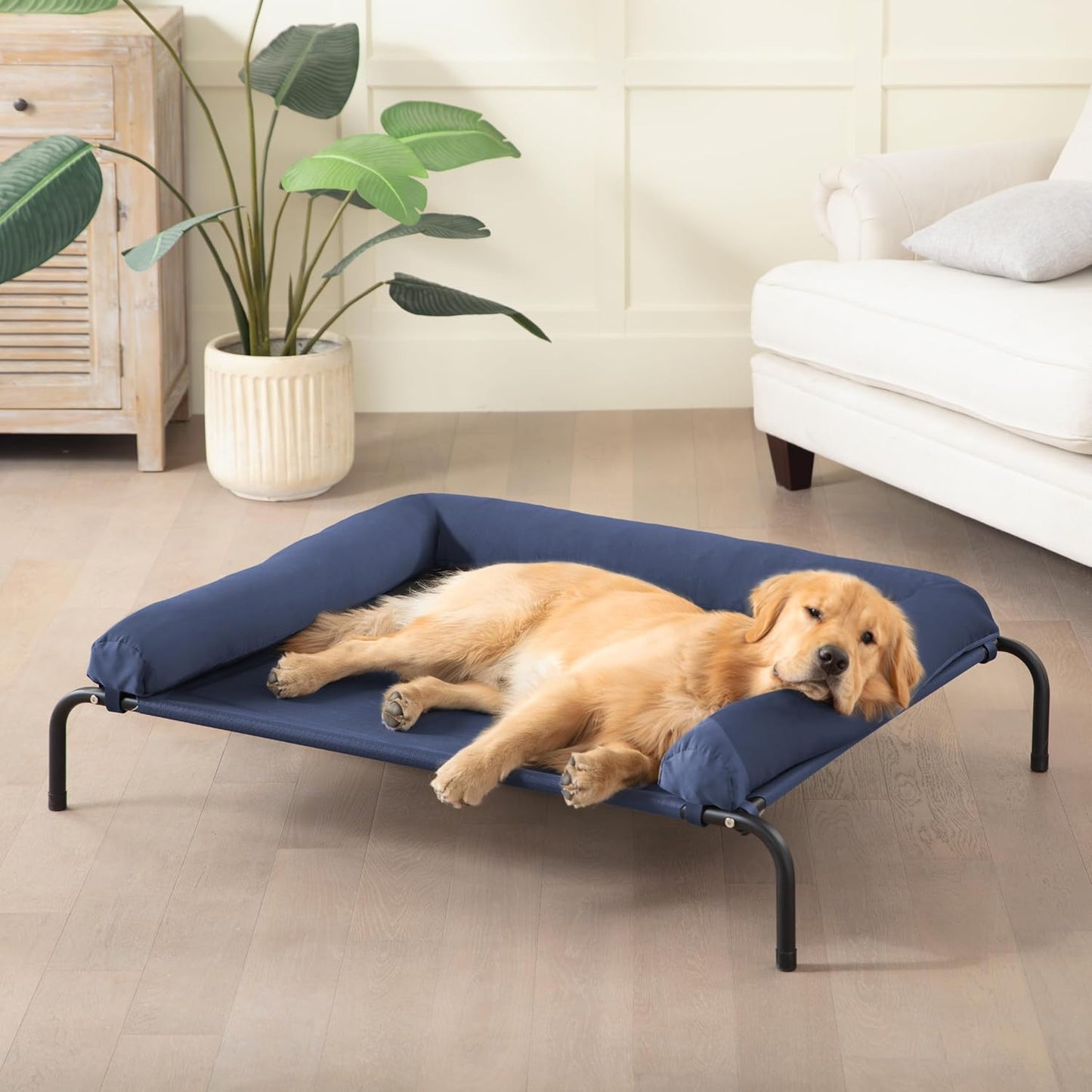 Cooling Elevated Dog Bed for Large Dogs with Unique Design