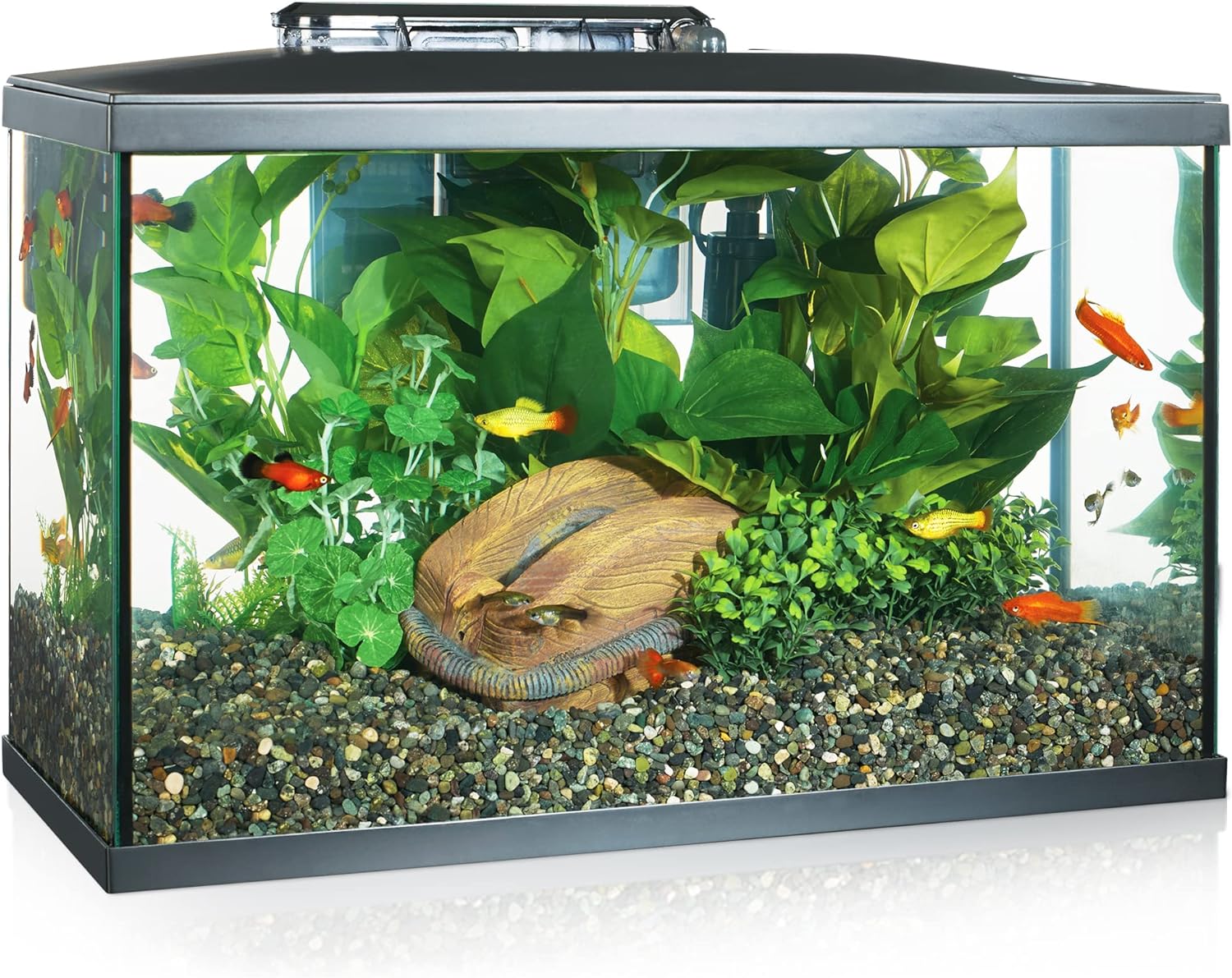 10 Gallon Marina LED Aquarium Kit: Illuminate Your Underwater World!