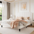 Velvet Upholstered Queen Bed Frame with Padded Headboard - Stylish