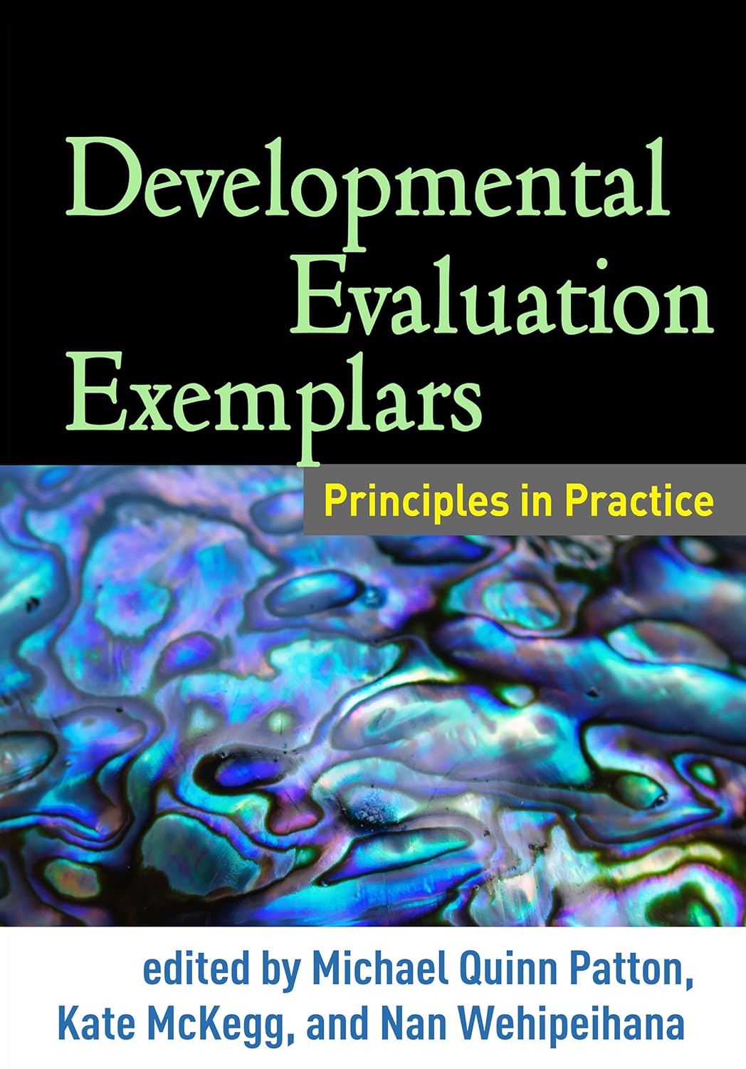 Developmental Evaluation Exemplars: Principles in Practice Review